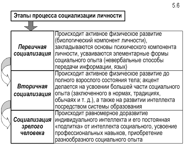 Социализация личности план